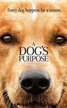 Can Dostum – A Dog’s Purpose izle