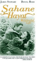 Şahane Hayat izle
