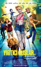 Yırtıcı Kuşlar