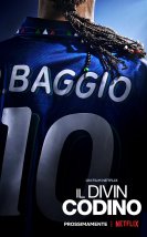 Baggio İlahi At Kuyruğu