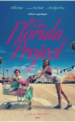 Florida Projesi izle