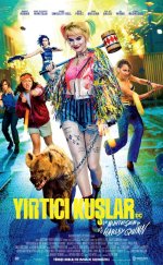 Yırtıcı Kuşlar