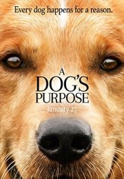 Can Dostum – A Dog’s Purpose izle