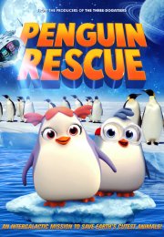 Renkli Penguenler